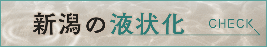 新潟の液状化