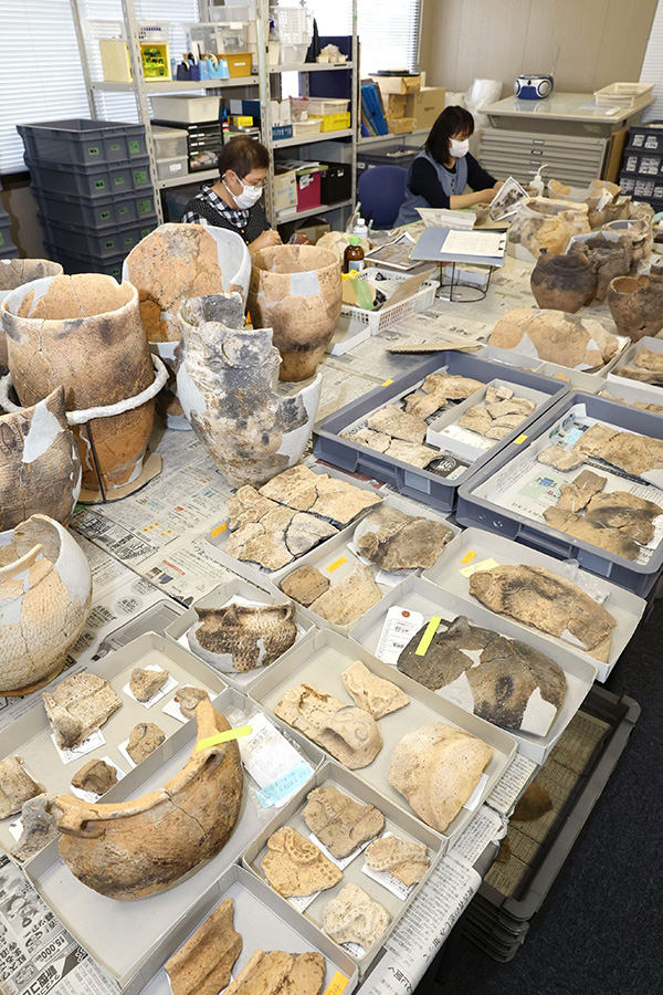 整理作業が進められている大量の土橋遺跡出土品。ベテラン職員が土器のかけらをつなげて復元していく＝阿賀野市保田