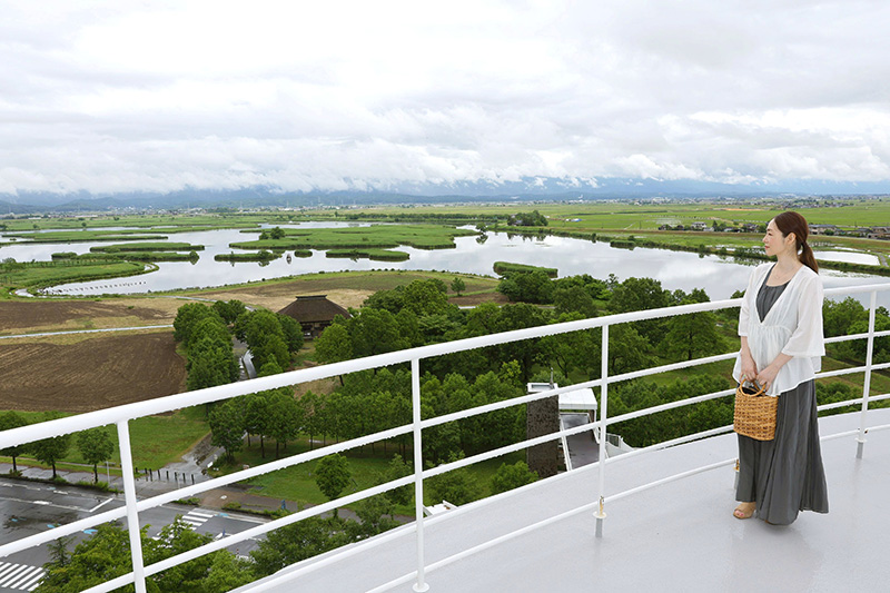 雨上がりの福島潟を眺める霧島れいかさん＝新潟市北区のビュー福島潟