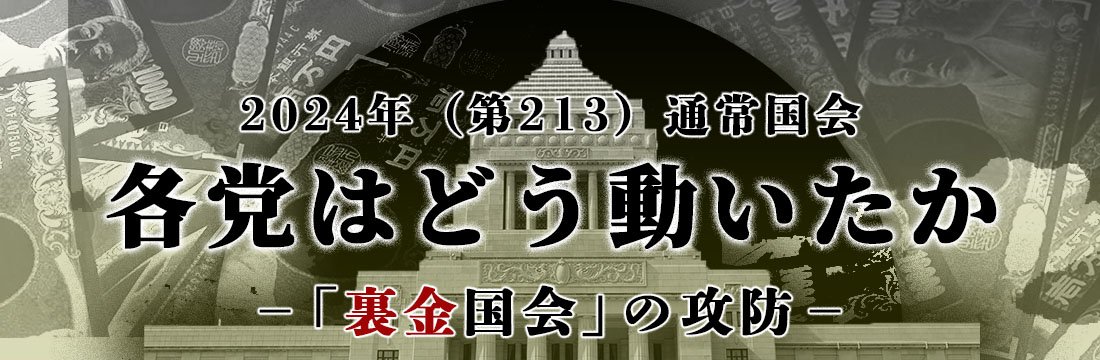 第２１３通常国会