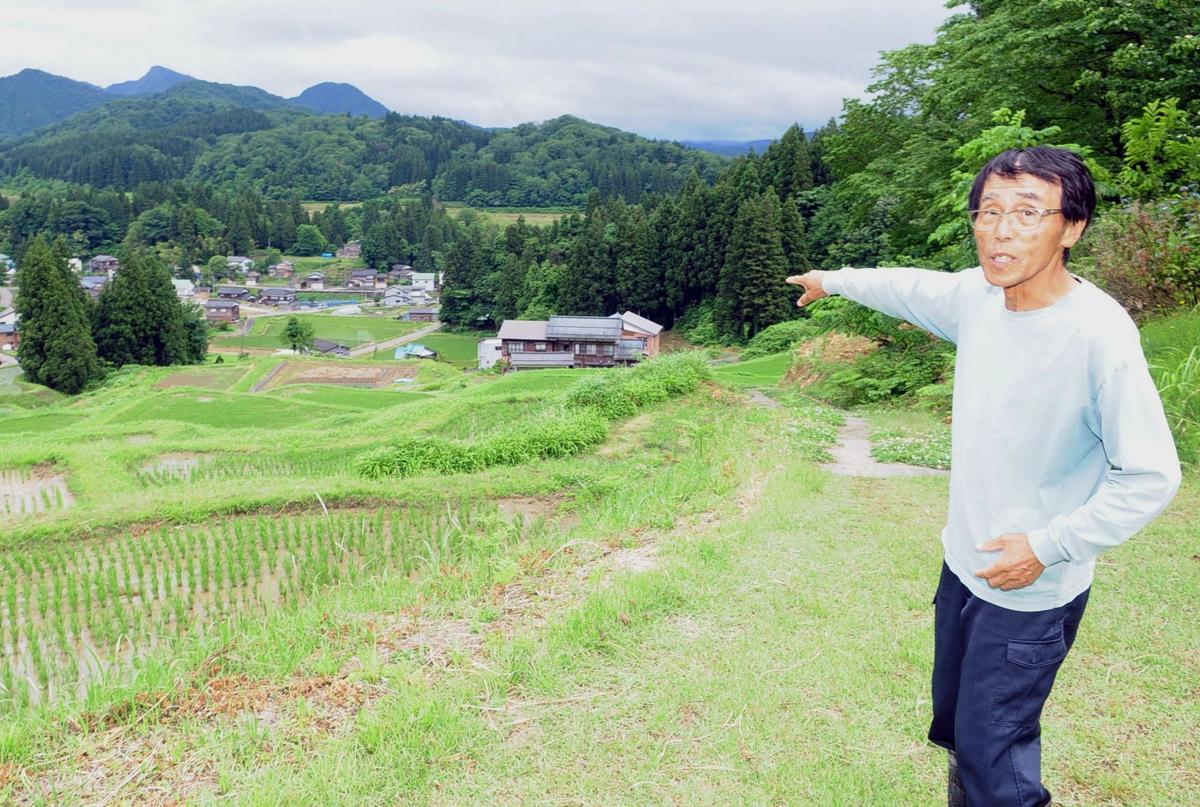 カタクリの群生でも知られる棚田を指し示す佐野誠五さん＝三条市北五百川