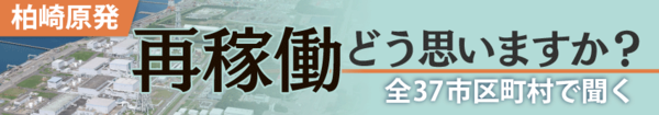 再稼働どう思う？