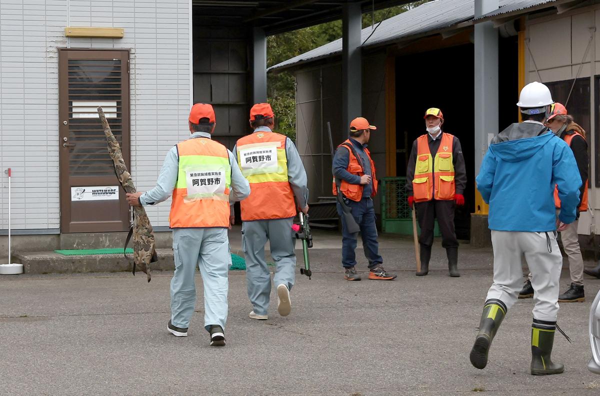 
１０月３１日に阿賀野市で行われた緊急銃猟。麻酔を扱える関係者が現場の建設会社に駆け付けた＝阿賀野市新保
