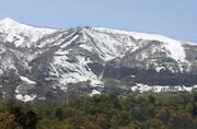 
ロッテアライリゾートのスキー場。県への必要な手続きを行わずに、コース内にある保安林を伐採した＝妙高市
