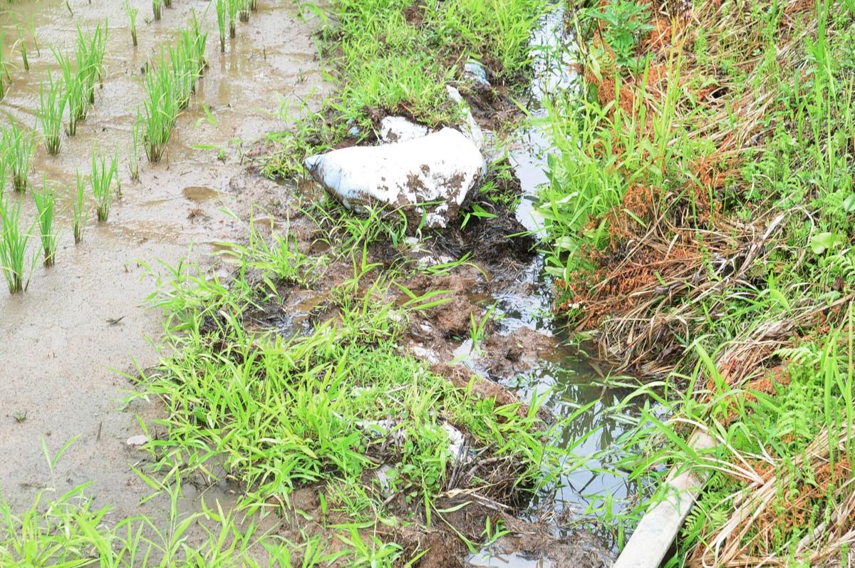 
イノシシに荒らされた水路

