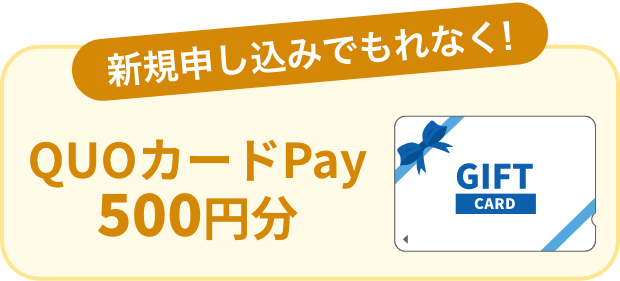 新規申し込みでもれなく!QUOカードPay 500円分