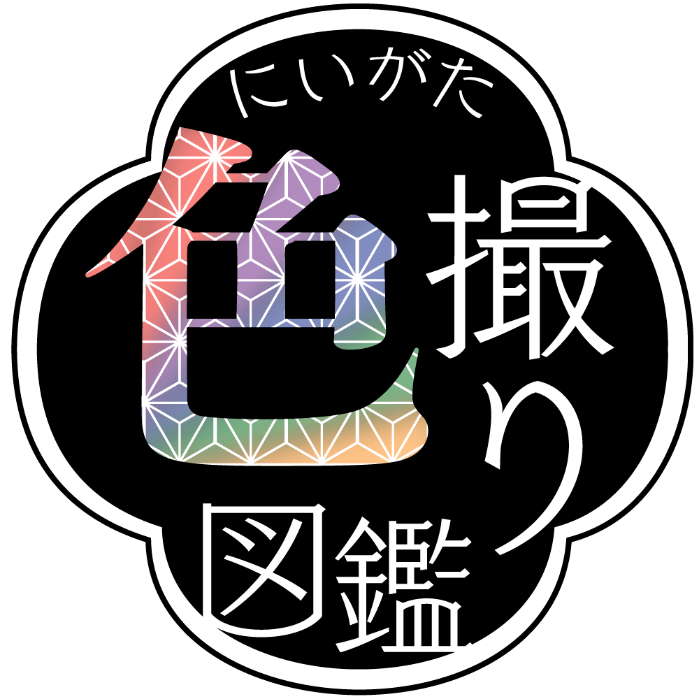 色撮り図鑑ロゴ