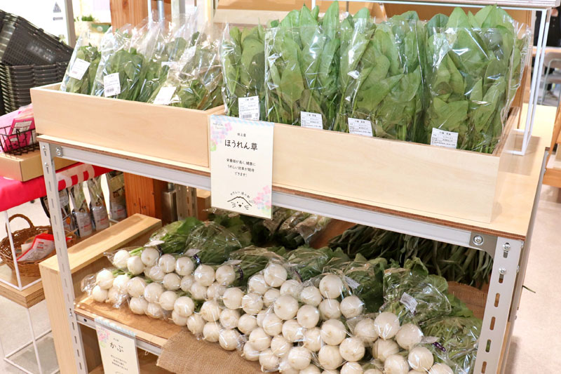 田上町産野菜