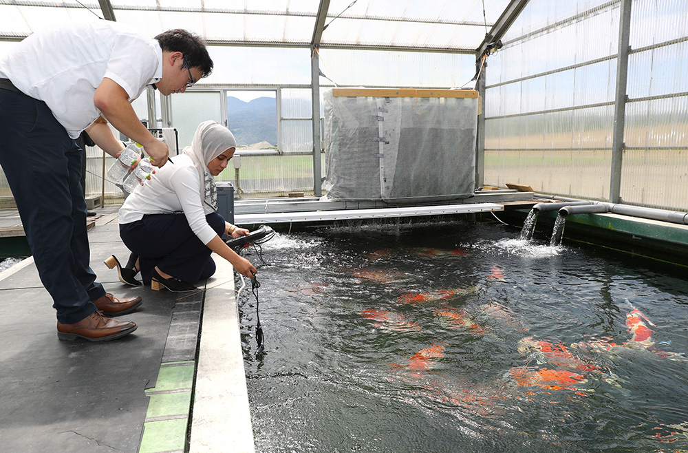 水質改善のろ過装置（奥）の効果を検証する長岡技術科学大の研究者＝長岡市大川原町