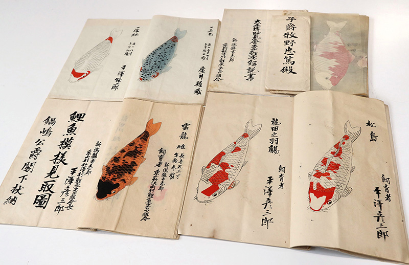 東京大正博覧会に出品された錦鯉の絵。さまざまな種類がいたことがうかがえる＝小千谷市土川１