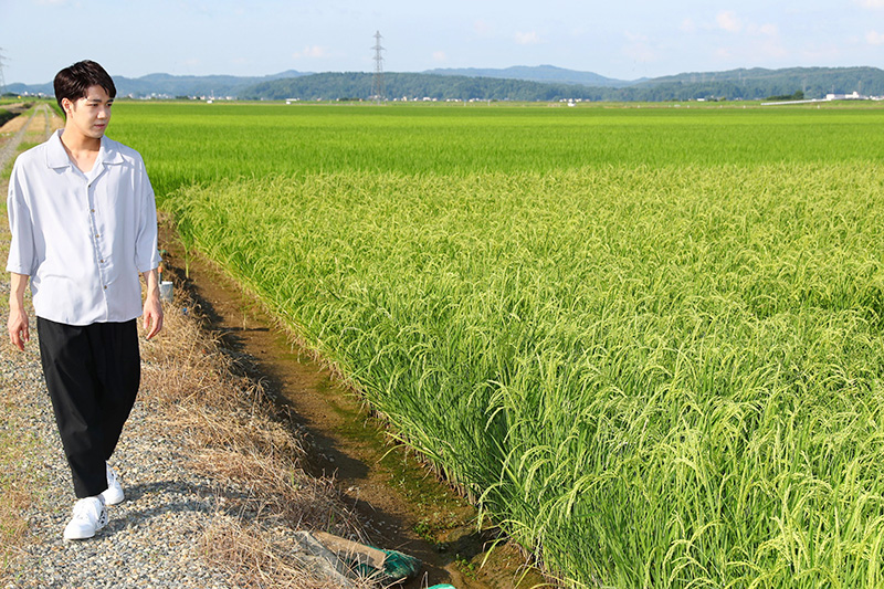 かつて低湿地帯だった八丁沖古戦場には、美しい田園風景が広がっている＝長岡市北富島