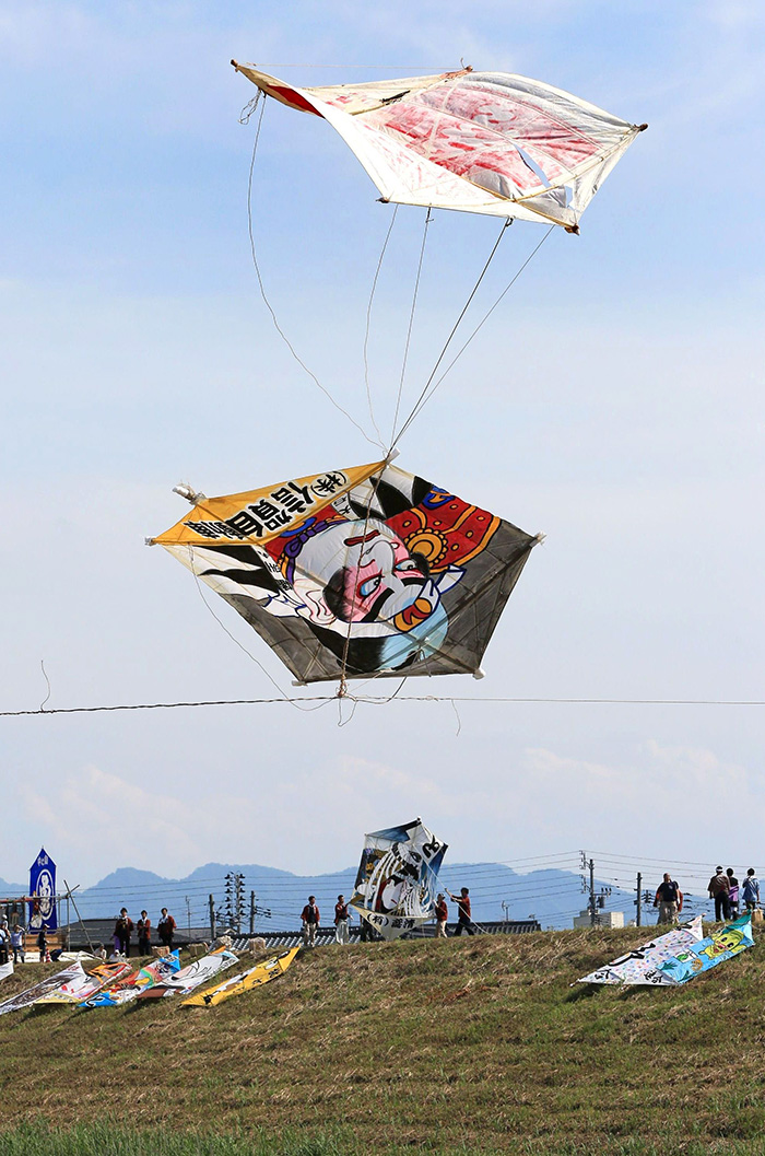 激しい空中戦を繰り広げる見附今町・長岡中之島大凧合戦＝２０１９年６月、長岡市中之島地域の刈谷田川堤防