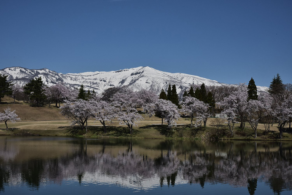 松ヶ峯から大毛無山を望む