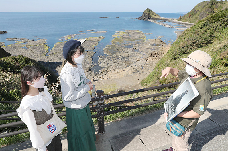 １８０２年の地震で隆起した沢崎地区の隆起波食台。波打ち際のちょうど良い高さのため岩ノリも採れるという＝佐渡市沢崎地区