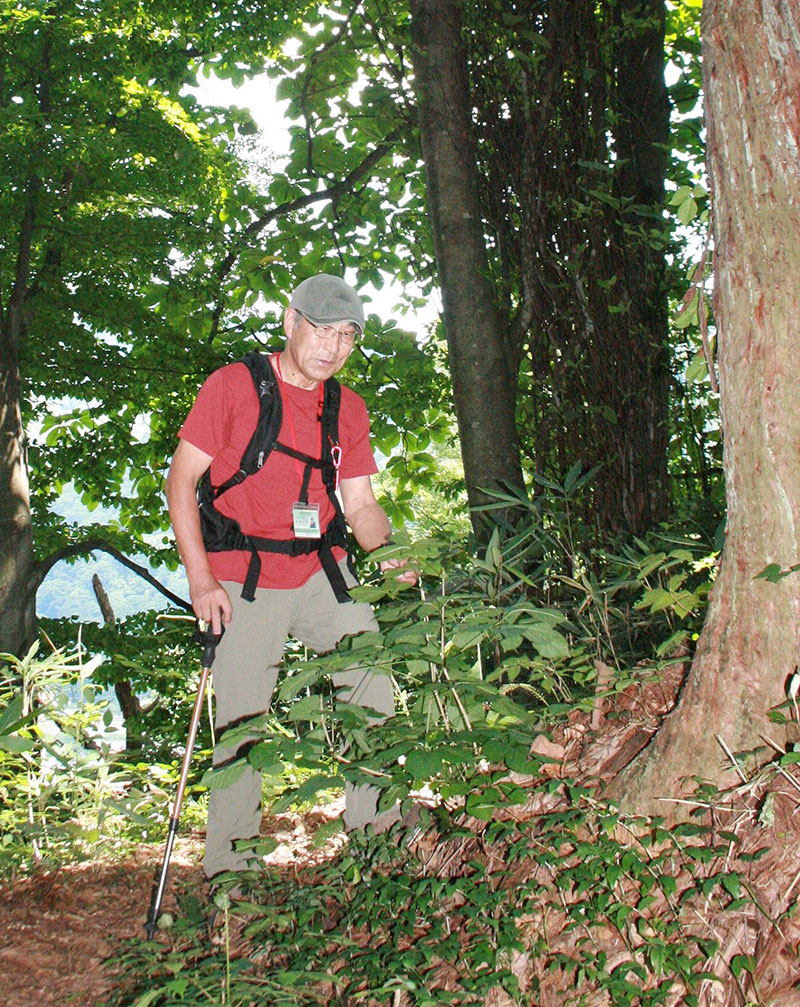 「安全に、楽しく、癒やされて」をモットーに豊かな自然が残る秋葉山を案内する高橋正明さん＝湯沢町