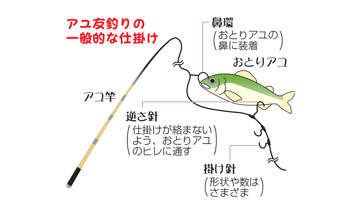 アユ友釣りの一般的な仕掛け