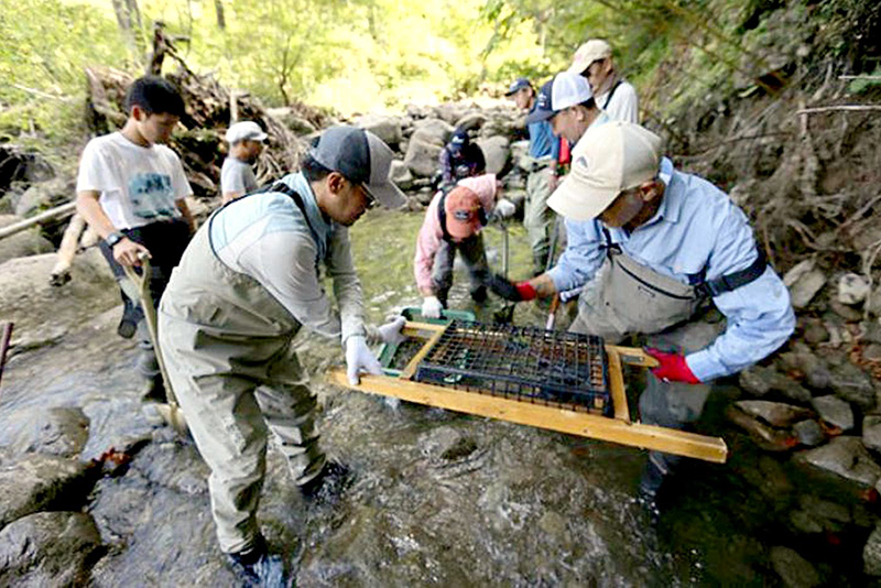 「人工産卵床」の造成に取り組む「奥只見の魚を育てる会」メンバー＝昨年１０月、魚沼市湯之谷地域（同会提供）