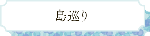 島巡り