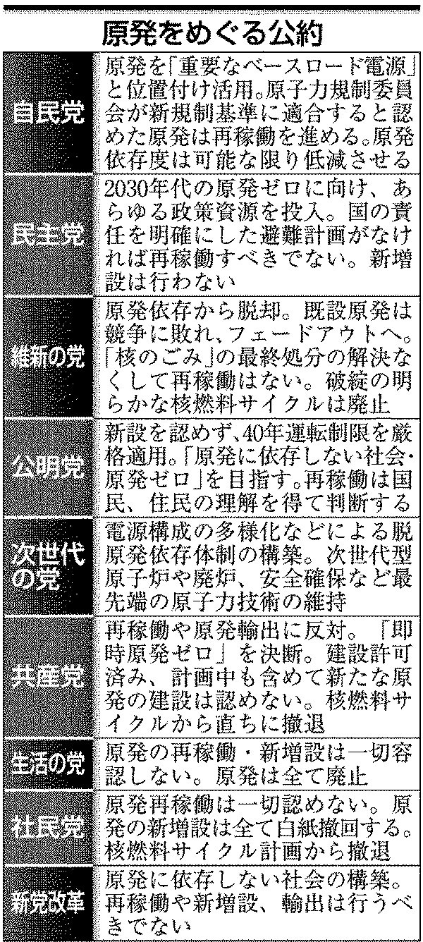 原発をめぐる公約
